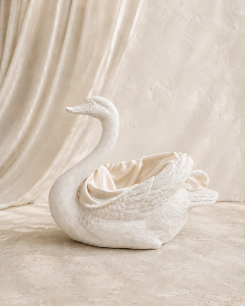 Aurelia White Swan Prop Hire